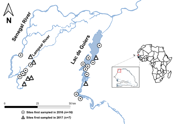 Fig2map